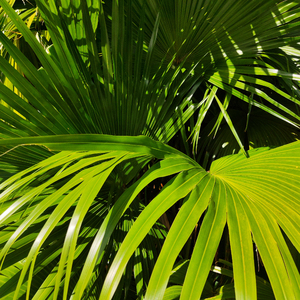 一女多夫好涨四根3H视频
